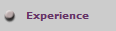 Experience